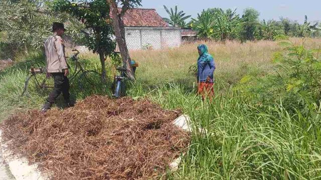 Polsek Kembangbahu Lamongan Monitoring Pekarangan Bergizi, Dorong Warga Perkuat Ketahanan Pangan