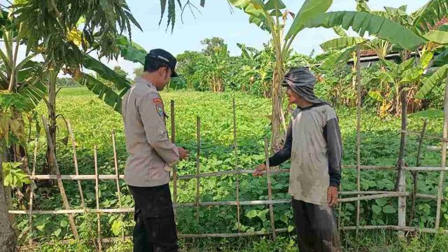 Polsek Sarirejo Monitoring Lahan Kacang Hijau, Dorong Petani Dukung Swasembada Pangan