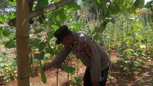 Polsek Solokuro Monitor Pekarangan Bergizi, Dorong Warga Dukung Ketahanan Pangan Nasional