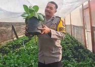 Lamongan