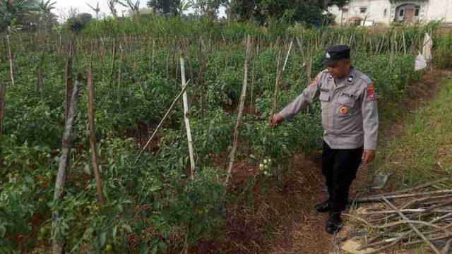 Polsek Solokuro Dukung Ketahanan Pangan melalui Pemanfaatan Lahan Produktif