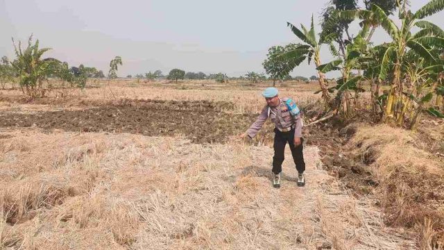 Antisipasi Dampak Kekeringan, Polsek Sarirejo Patroli Persawahan dan Pantau Debit Air Embung