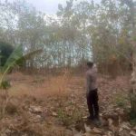 Polsek Solokuro Lamongan