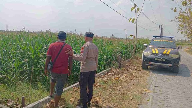 Polsek Pucuk Pantau Program Ketahanan Pangan, Dorong Pemanfaatan Lahan Pertanian Secara Optimal