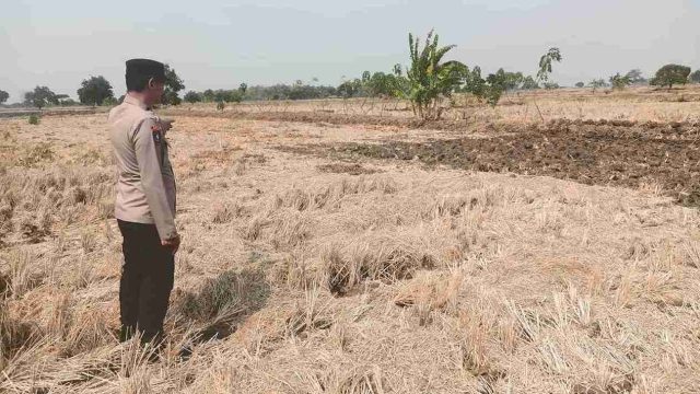 Antisipasi Kekeringan dan Kebakaran Lahan, Polsek Sarirejo Pantau Embung dan Area Persawahan