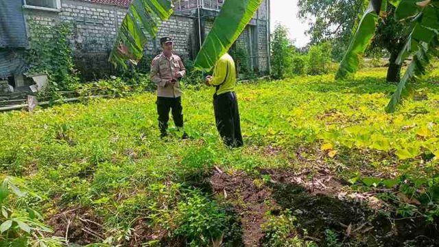Dukung Swasembada Pangan, Polsek Sarirejo Monitoring Tanaman Labu Siap Panen di Dermolemahbang