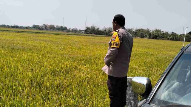 Dukung Asta Cita Presiden, Polsek Karangbinangun Monitoring Pekarangan Pangan Bergizi di Desa Kuro