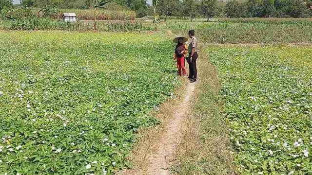Polsek Kembangbahu Intensifkan Monitoring Pekarangan Bergizi, Dorong Pemanfaatan Lahan Produktif untuk Ketahanan Pangan 