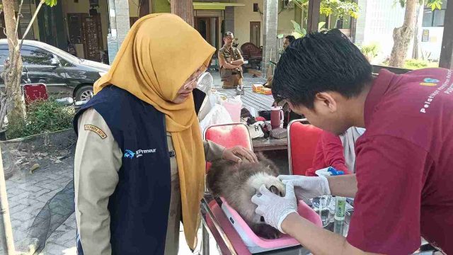 Peringati Hari Rabies Sedunia, Lamongan Gelar Vaksinasi Gratis Hewan Peliharaan