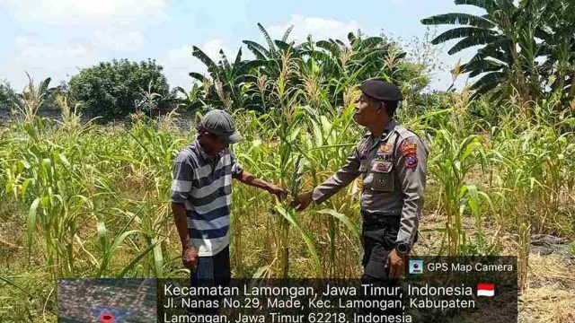 Dukung Asta Cita Presiden RI, Polsek Lamongan Kota Monitoring Pekarangan Pangan Bergizi di Desa Made