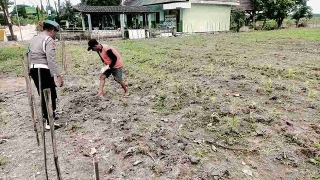 Dukung Swasembada Pangan Nasional, Polsek Sarirejo Lakukan Monitoring Lahan Pertanian Warga