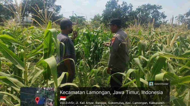 Dukung Program Asta Cita Presiden RI, Polsek Lamongan Kota Monitoring Pekarangan Pangan Bergizi dan Ketahanan Pangan di Sukomulyo