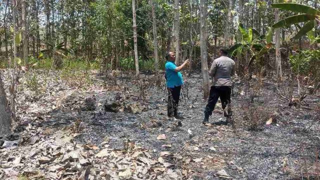 Antisipasi Karhutla saat Kemarau, Polsek Solokuro Intensifkan Patroli Kawasan Hutan
