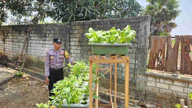 Polsek Solokuro Turun ke Lahan Pertanian, Dorong Produktivitas dan Ketahanan Pangan